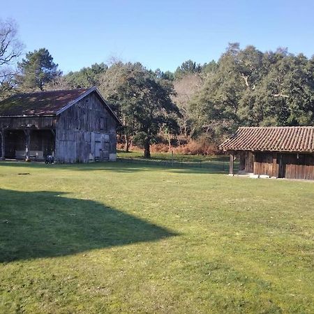 Le Petit Frouas Sud Leilighet Vielle-Saint-Girons Eksteriør bilde